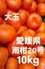 愛媛県産　南柑20号　みかん　10kg