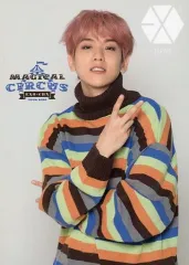【中古】コレクションカード(男性) EXO-CBX/BAEKHYUN(ベッキョン)/「EXO-CBX “MAGICAL CIRCUS” 2019 -Special Edition-」ファンクラブEXO-L-JAPAN会員限定抽選会特典トレカ