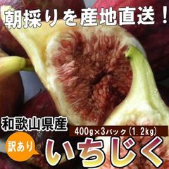 いちじく 和歌山県産 訳あり イチジク 1.2kg【400g×3パック】発送開始予定日:8月上中旬〜