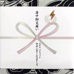 サザンオールスターズ／ホテル パシフィック 限定 変形ピクチャー盤
