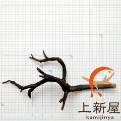 約36x30x24cm ブラックブランチウッドL 複数同時購入で2品目