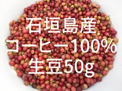 希少！【幻の石垣島産コーヒー100％】☆コーヒー生豆50g入り☆必見国産コーヒー
