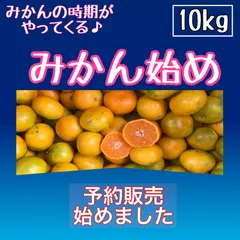 2024年最新】みかん様専用の人気アイテム - メルカリ