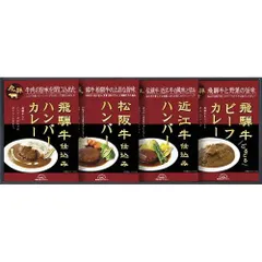 【新品・3営業日で発送】飛騨高山ファクトリー 松阪牛・近江牛・飛騨牛仕込みハンバーグ＆カレー詰合せ HBK-28