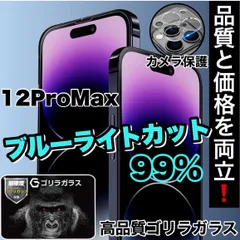 目に優しいおすすめセット！【iPhone 12ProMax】ブルーライト99%カットフィルム＆カメラ保護《世界のゴリラガラス》