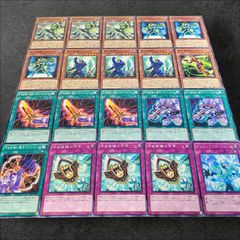 遊戯王【昆虫族・昆遁 夢中デッキパーツ】 13枚 - メルカリ