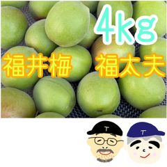 白加賀梅3L 青梅 加工用約4キロ 超メルカリ市限定価格 - メルカリ