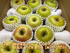 青森県産りんご「ぐんま名月」家庭用 キズ有 約5kg【爽やかな甘み】