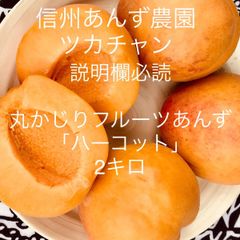 ★クール便  ハーコット 良品　2キロ 事前販売　生あんず 生食用 2キロ アンズ  丸かじり 産地直送