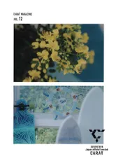 SEVENTEEN Vol.12 CARAT MAGAZINE