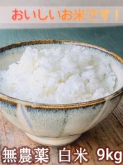 【農薬化学肥料不使用】新米 きぬむすめ白米９kg R3年産　無農薬　農園若づる