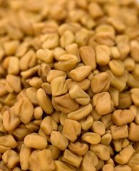 フェネグリークホール - Fenugreek Whole 500g AMBIKA(アンビカ) / フェヌグリーク メティ