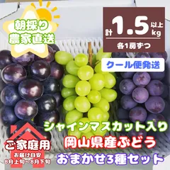 富士の輝き ぶどう 2房セット 23091541.jpg