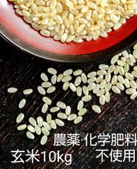 【農薬化学肥料不使用】新米 きぬむすめ 玄米 10キロ R3年産   無農薬
