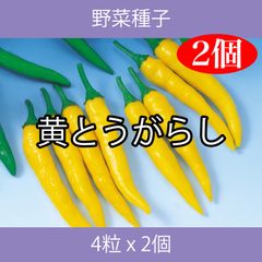 野菜種子 ECC 黄とうがらし 4粒 x 2個