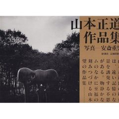 廃盤・帯有り】築10年 MECANO 平沢進 中野テルヲ 三浦俊一 福間創 等