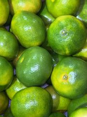 鹿児島産すもも　10キロ 鹿児島県産 すもも(プラム) 約10キロ 小サイズ - メルカリ