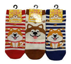 秋田限定🌟秋田犬ソックス22～24cm🌟3足セット🌟あきたいぬくつした