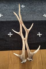 蝦夷鹿の落ち角,「※31本セット」 ,※5万円から毎日お値下げします。 蝦夷鹿の落ち角,「※31本セット」 ,※5万円から毎日お