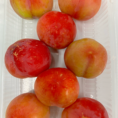 【選果落ち 訳あり品】熊本県産 プラム すもも 合計 約 800g (2パック）箱込み【003】ぷらむ スモモ サイズ 不揃い 旬 熊本 熊本産 食品 家庭用 訳あり 贈答用不可