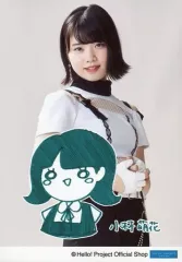 2025年最新】萌花の人気アイテム - メルカリ