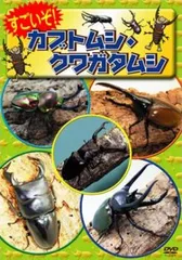 すごいぞ!カブトムシ クワガタムシ【趣味、実用 中古 DVD】レンタル落ち