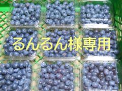 るんるん様専用　冷凍ブルーベリー3㎏＋α