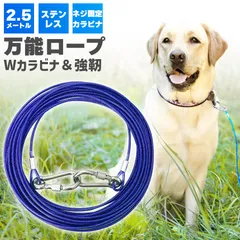 リード 犬用 係留ケーブル ステンレス 2.5ｍ カラビナフック 3ｍｍ 犬 ワイヤー 軽い 丈夫 しつけ用 錆び付かない リード 外飼い キャンプ 小型 中型 大型 適応 散歩 庭 屋外用のサムネイル
