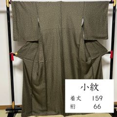 着物と帯 時流】ポ241059s◇洗える着物 小紋◇kansai 大きいサイズ 