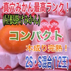 3箱📦限り‼️真穴 ひなの里・越冬屋根掛けみかん おためしパック【2S〜S 12玉 】