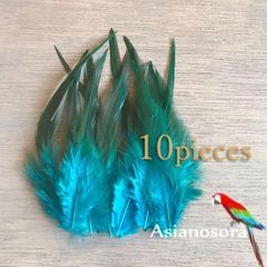 Item thumbnail for item c7c78e86-5473-4ba4-a3f6-369af86dbfa7