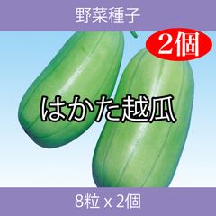 野菜種子 EBE はかた越瓜 8粒 x 2個
