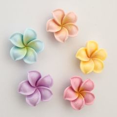 Item thumbnail for item e2106daa-156a-469c-ae89-b7d79f5cc0d4