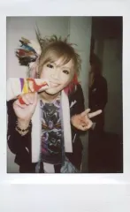 fest vainqueur  hal チェキ FEST VAINQUEUR HAL チェキ まとめ売り - メルカリ