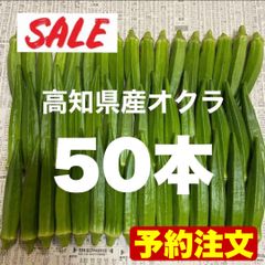 【予約注文‼️6月28日〜7月10日頃から順次発送】50本 高知県産 オクラ おくら 即購入OK 産地直送 m074