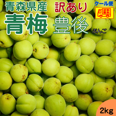 クール便送料無料！　青森県産　青梅　豊後（ぶんご）　訳あり　2ｋｇ
