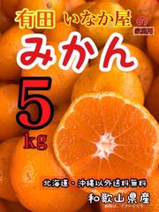 セール　早い者勝ち　和歌山県産　有田　みかん　家庭用　５kg セール品　特価価格