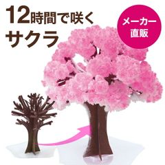 12時間で本物の桜の様にモコモコ育つ　マジック桜