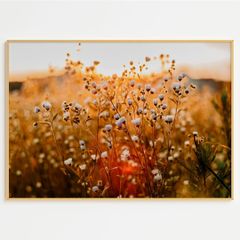アートポスター 野花と夕焼けの幻想風景 おしゃれ インテリア 壁掛け 6690
