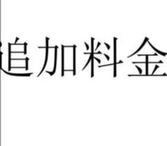 追加料金