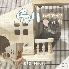 チンチラ 木製 ハウス ポプラの木 小動物 用品 かわいい ケージ ウッドハウス 木製 隠れ家 ビックハウス　遊び場
