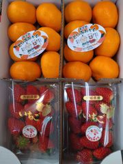 寿太郎みかん、いばらキッスいちご