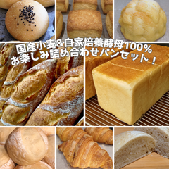 【国産小麦&自家培養酵母100％】酵母の美味しさを堪能♪お楽しみ詰め合わせ パンセット！