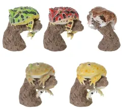 【中古】トレーディングフィギュア 全5種セット 「いきもの大図鑑 指まきコレクション ツノガエルとアメフクラガエルとバジェットガエル」のサムネイル