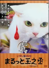 2025年最新】The_Samuraiの人気アイテム - メルカリ