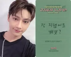 【中古】コレクションカード(男性) SEVENTEEN/JUN(ジュン)/裏面緑・印刷メッセージ入り/「2022 SVT 6TH FAN MEETING SEVENTEEN in CARAT LAND MEMORY BOOK+DVD」封入特典フォトカード