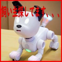 3F 【希少・デッドストック】トミー DOG.COM 限定プラチナホワイト ロ 3F 【希少・デッドストック】トミー DOG.COM 限定プラチナホワイト ロ