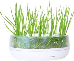 Item thumbnail for item 58e4b8dc-f769-4bf3-aa23-eff2853916de