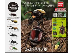 いきもの大図鑑 かぶとむし09 全6種セット