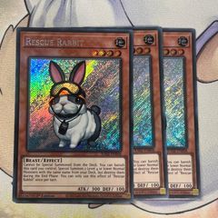 【未開封】遊戯王　精霊術の使い手 霊使い　海外　枠あり　英語版　公式プレイマット 未開封】遊戯王 精霊術の使い手 霊使い 海外 枠あり 英語版 公式